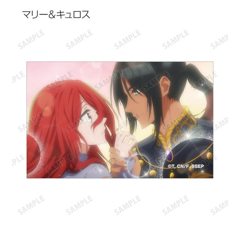 『ずたぼろ令嬢は姉の元婚約者に溺愛される』トレーディング場面写イラストカード(単位/BOX)